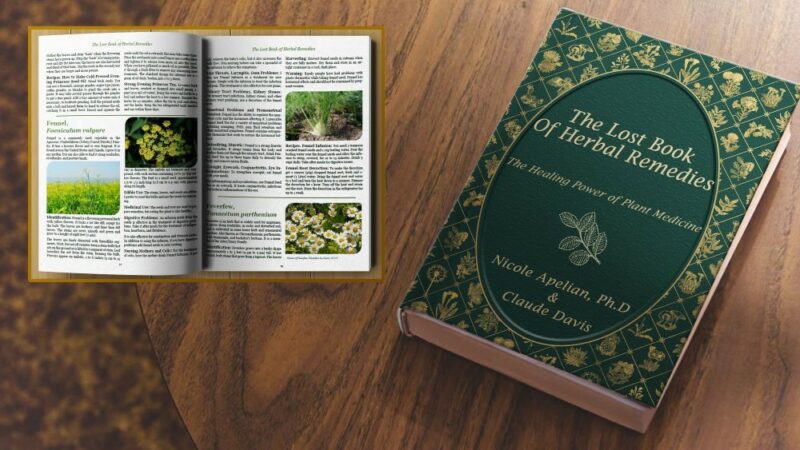 Discover the Lost Book of Remedies: Nature's Healing Secrets Revealed!